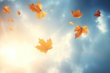 Wall Mural - autumn leaves falling skyward background