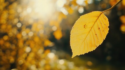 A detailed close-up of a vibrant yellow leaf in autumn, with golden trees and bokeh lighting in the background, creating a peaceful, sunlit park scene.