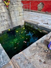 spiritual pond with healing capability 