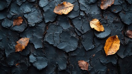 A black and brown background with leaves scattered on it