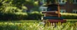 © watanu - Stack of books topped with a graduates hat, set against a backdrop of a university building and green lawn