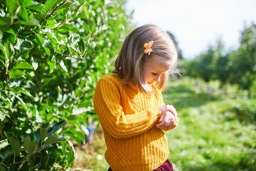 Wall Mural - Preschooler girl looking at ladybug crawling on her hand and fingers.