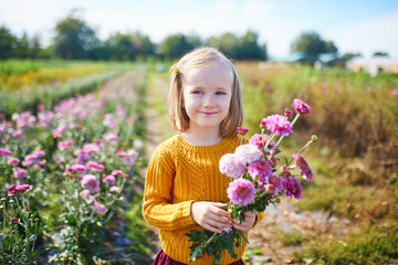 Wall Mural - Adorable girl picking beautiful chrysanthemum flowers on farm.