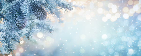 Wall Mural - fir tree branches in snow close up. christmas and winter concept. soft focus.