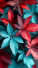 Sticker -  A red-and-blue foliage plant, topped with distinct red and blue leaves above its green base