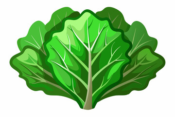 Poster - Green cabbage cartoon isolated illustration on white background