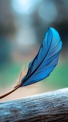 Wall Mural - A blue feather atop a wooden table near a hazy image of a body of water