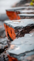 Wall Mural -  A tight shot of a wooden surface bearing an iced cap, accompanied by pooled water nearby