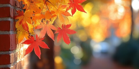 a vibrant autumn scene capturing the warm hues of orange, yellow, and red maple leaves against a red