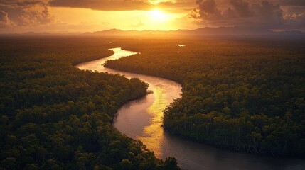 Wall Mural - Sunset Over a Winding River Through a Lush Forest