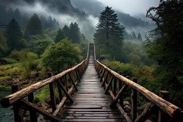 Wall Mural - Long wooden bridge on deep valley landscape outdoors nature.