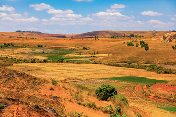 Typical Madagascar landscape rice terrace fields