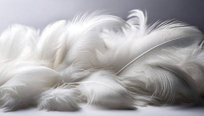 soft white feathers scattered light surface evoking calm serenity