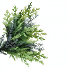 Wall Mural - Juniper Branch Isolated