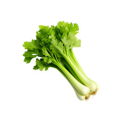 Fresh green celery stalks with leaves, vibrant and healthy produce for food blogs, recipes, nutrition articles, or farm market promotions. Generative AI