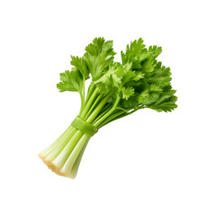 Fresh green celery stalks with leaves, vibrant and healthy produce for food blogs, recipes, nutrition articles, or farm market promotions. Generative AI