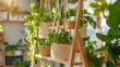 © Everlyn Stock BG - Rustic wooden ladder decorated with macrame plant hangers and trailing vines