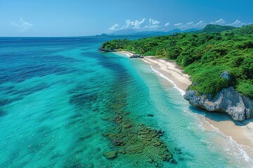 Wall Mural - A beautiful blue ocean with a sandy beach and lush green trees in the background