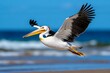 © Sanchai - Pelican taking off from the beach, its wings beating powerfully as it lifts into the air