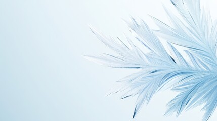 Canvas Print - a white background with a blue leaf on it