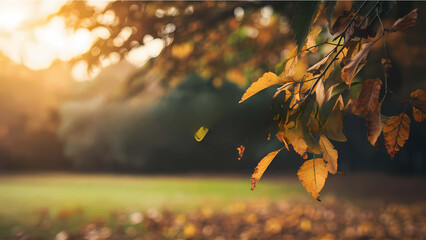 Poster - autumn leaves in the morning autumn leaves on the ground 