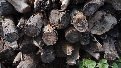 close up of a pile of firewood