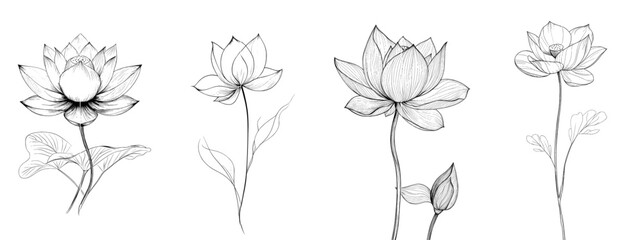 Sticker - A lotus flower in continuous line art drawing style. Waterlily black linear design isolated on a white background. Contemporary design.