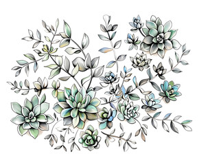 Wall Mural - Fresh succulent and cactus of seamless foliage close-up. Isolate on white background with young spring of the plant by watercolor hand drawn painting with brushes strokes.