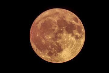 moon magnified