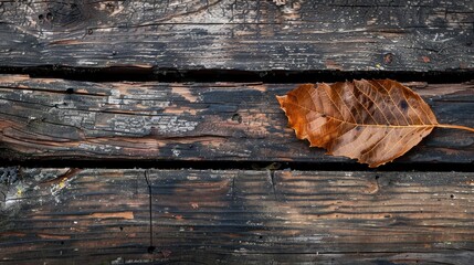 Brown leaf on aged wooden surface