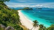© sujitea - A panoramic view of a tropical beach with palm trees, white sand, and the bright blue sea stretching into the distance
