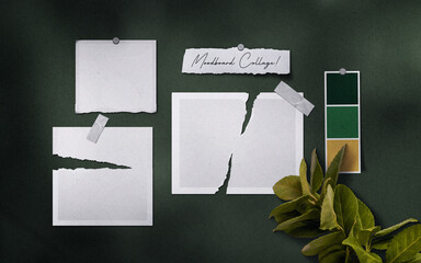 Realistic 3D blank photo frames, film, texture, ornament, torn paper glued textures and tape moodboard mockup. Grunge texture background with leaves and windows shadow overlay vector illustration