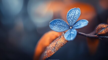 Canvas Print -  A blue leaf, tightly focused, on a branch, adorned with water droplets Background softly blurred