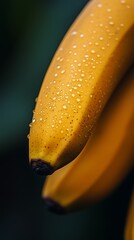 Wall Mural - Close-up of ripe banana with fresh water droplets on peel