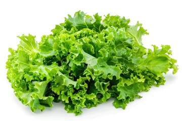 Poster - A fresh green lettuce pile on a clean white surface, ready for use in salads or as a garnish