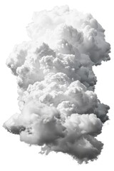 Poster - A monochromatic photograph of a cloud with various textures and shapes
