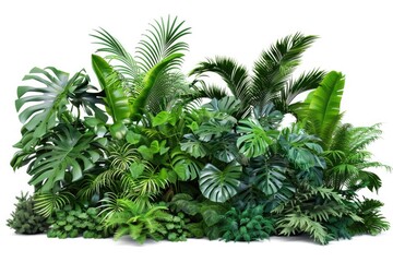 Aufkleber - A cluster of colorful tropical plants on a clean white background, ideal for illustrations and designs