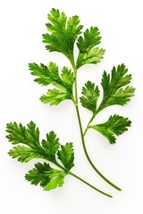 Poster - A close-up shot of a bunch of green leaves on a white surface, great for backgrounds or textures