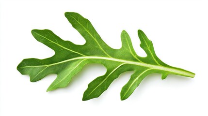 Poster -   A high-resolution close-up image of a leaf on a white background featuring a clean clip path around its center for seamless use in design projects