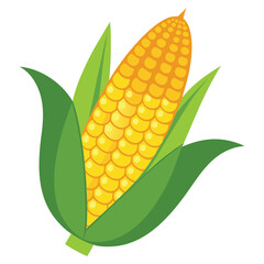 Cartoon vector illustration isolated object fresh food vegetable sweet corn