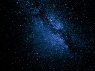 Wall Mural - сonstellation of the milky way with the silhouette of trees
