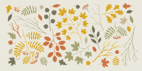 Wall Mural - Autumn nature elements. Graphic background with fall leaves and branches. Hand drawn illustration of maple, oak and rowan.