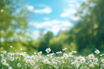 Beautiful blurred spring background nature with blooming glade chamomile, trees and blue sky on a sunny day, ai