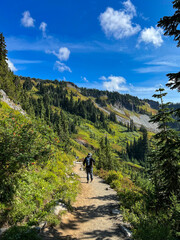 man hiking down mount rainier mountain trail