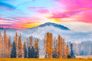 Wall Mural - Autumn sunrise in the mountains of western Montana with early morning fog