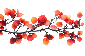 A close-up of vibrant red leaves on a branch, set against a stark black background, highlighting their rich color contrast.