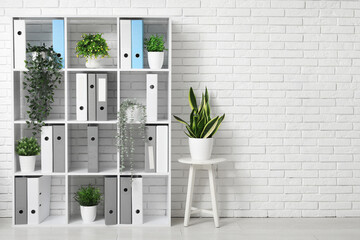 Poster - Modern shelving unit with folders and houseplants near white brick wall in office