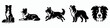 © Chris - Set of border collie vector silhouette illustration collection set, dog breed clip art design element bundle