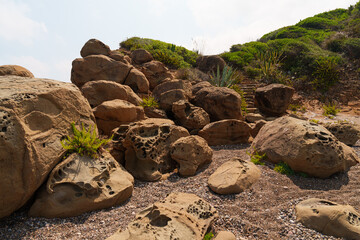 Coastal rocks with unique weathering patterns surrounded by lush greenery under a partly cloudy sky. Natural landscape showcasing the rugged beauty of seaside geology