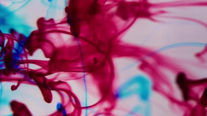 Wall Mural - Ink water. Paint drop. Blur red blue color mix hazy trail smoke splash effect pigment emulsion fluid swirling motion on light abstract art background.